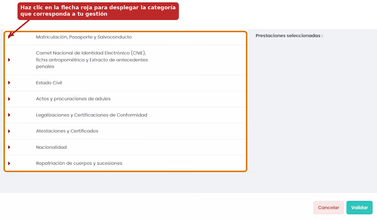 Elige la categoría del trámite