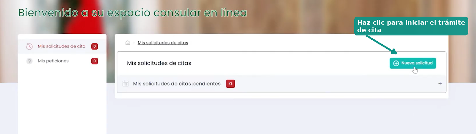 Nueva solicitud de cita